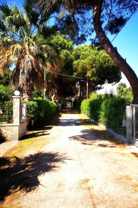 Villa Lena Entire Cottage Kalamaki  外观 照片
